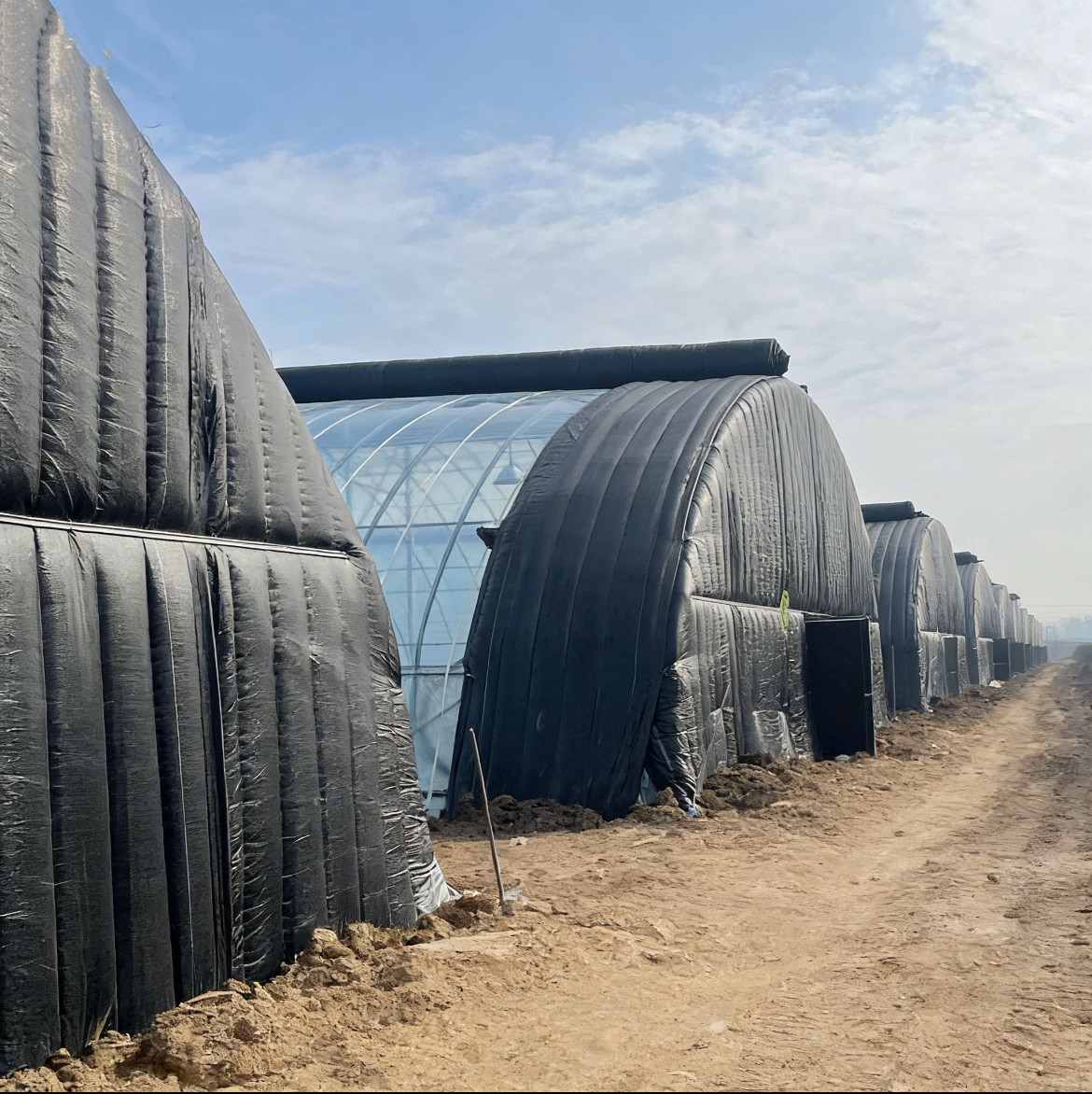 安徽阜阳农业种植示范园