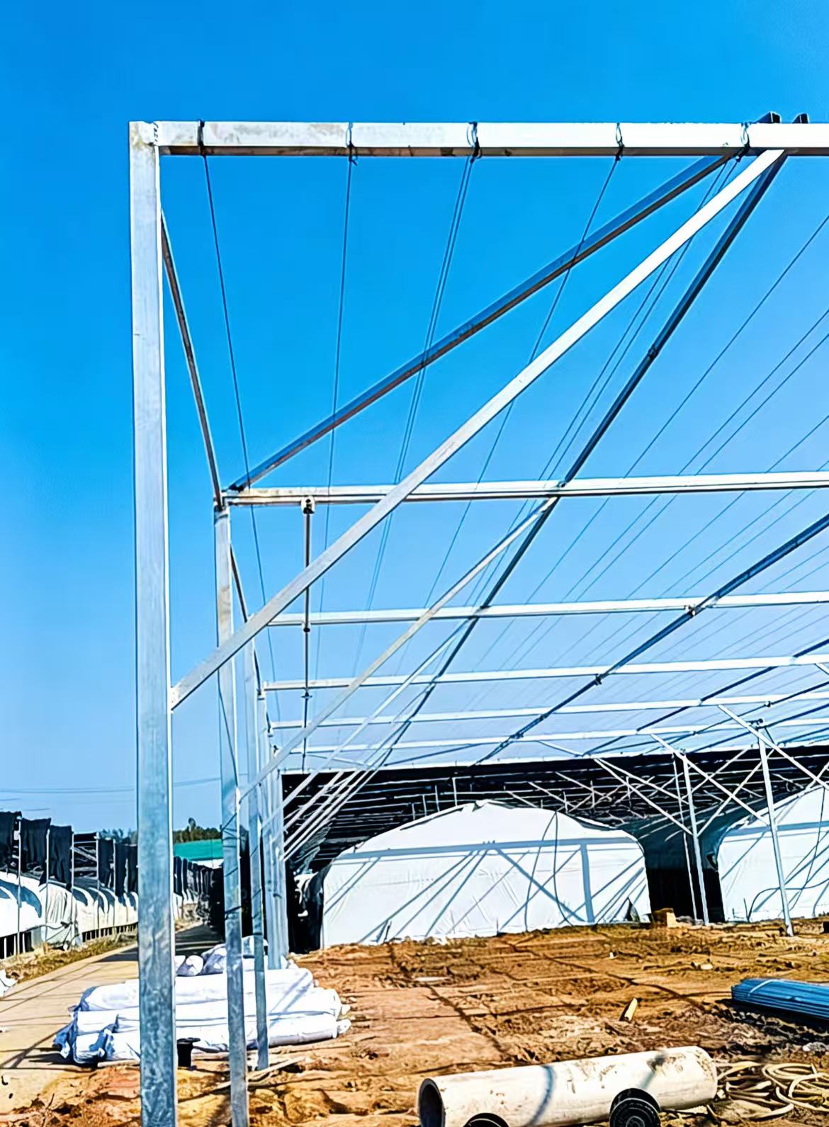 河南泌阳食用菌种植基地