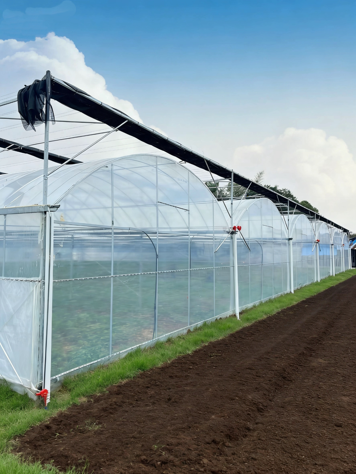 湖北黄石果蔬种植基地