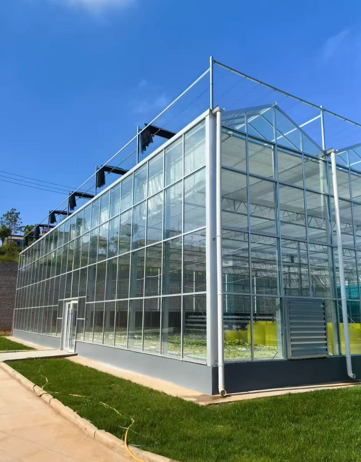 智能玻璃温室